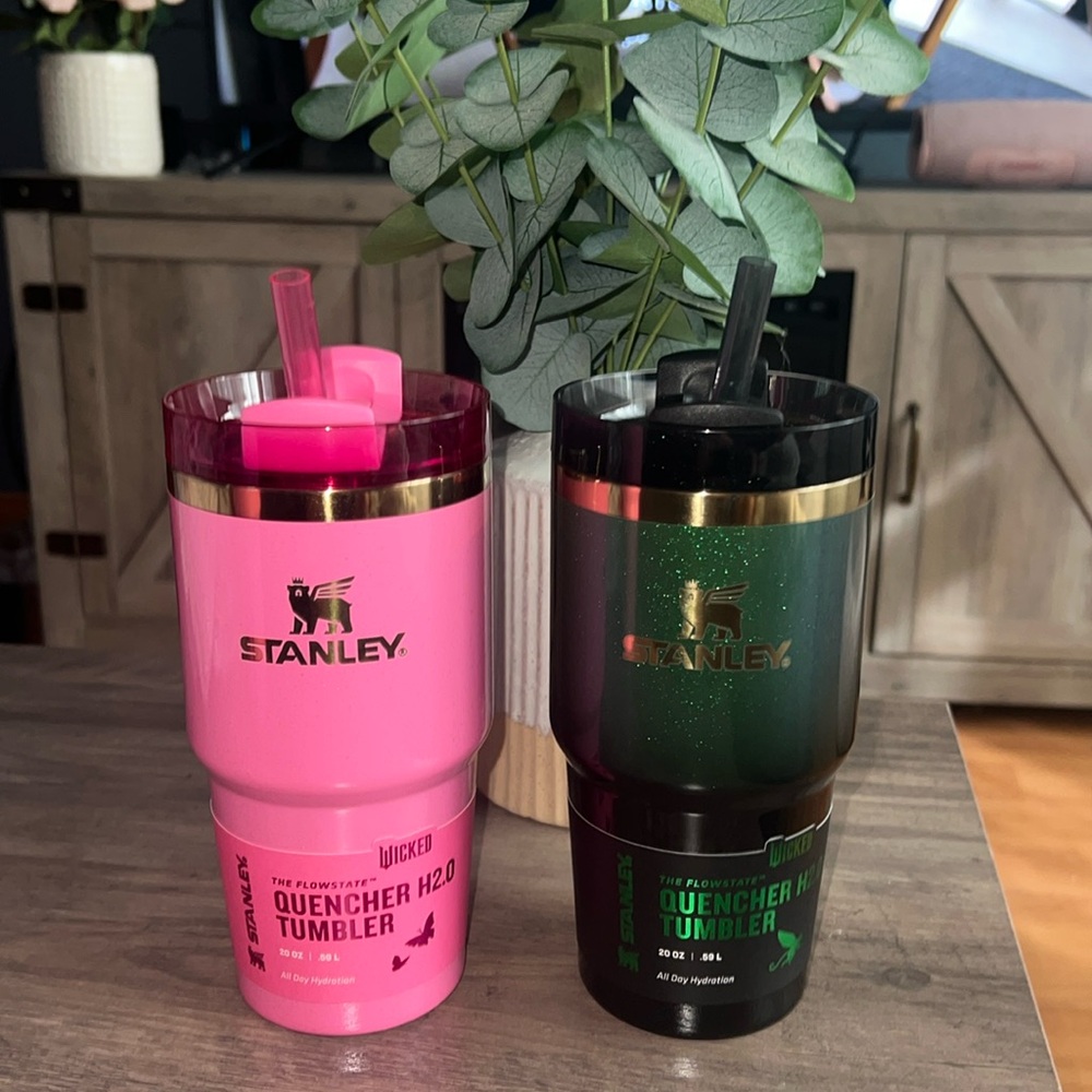 Stanley x Target wicked 20 oz duo